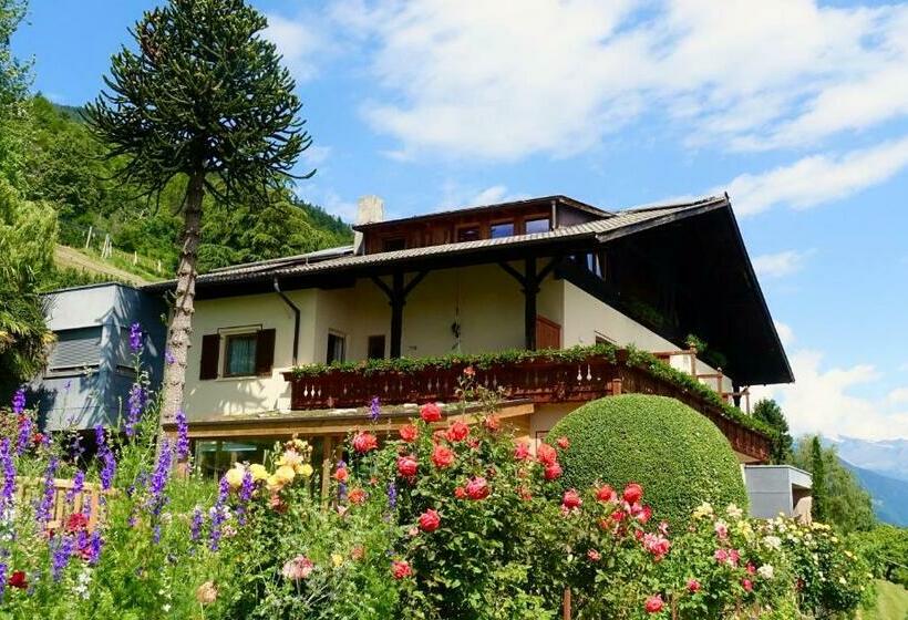 Отель Tirolerhof Tisens