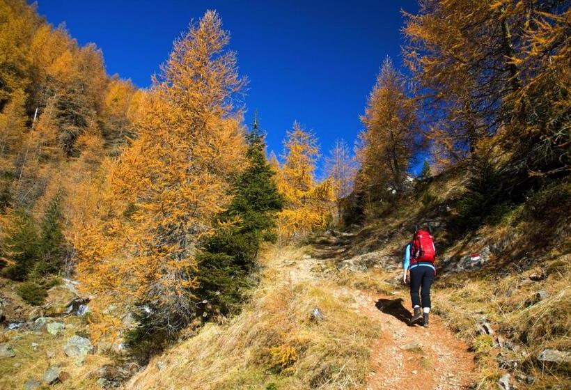 Отель Tirolerhof Tisens