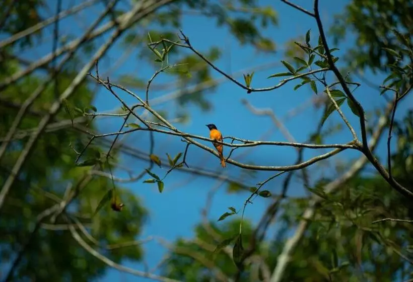 ホテル White Villa Kitulgala