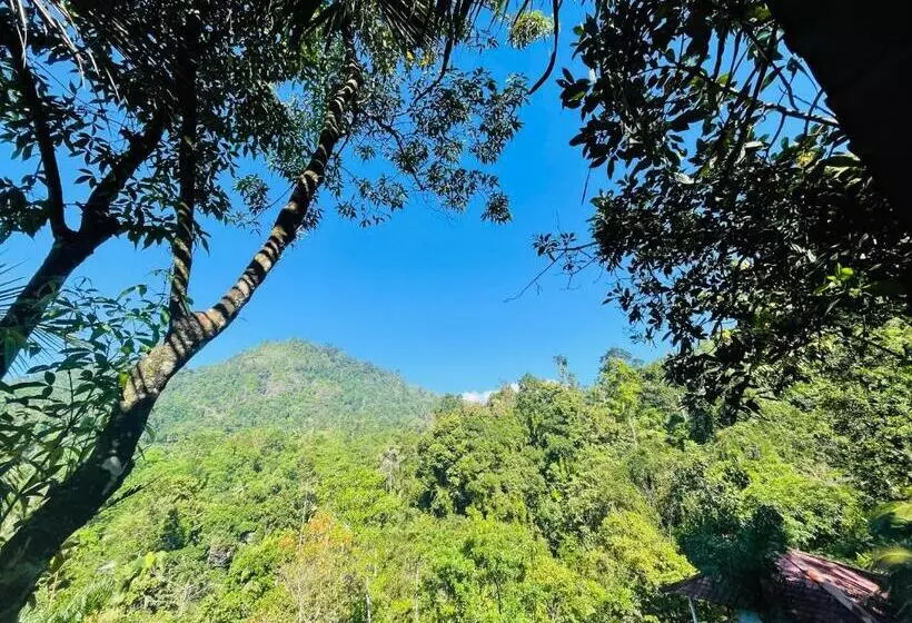ホテル White Villa Kitulgala