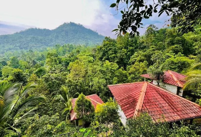 ホテル White Villa Kitulgala