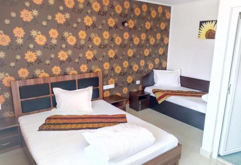 פנסיון Camere De Inchiriat Carpati