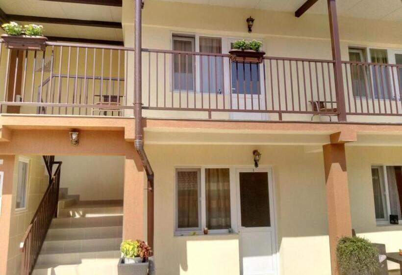 פנסיון Camere De Inchiriat Carpati