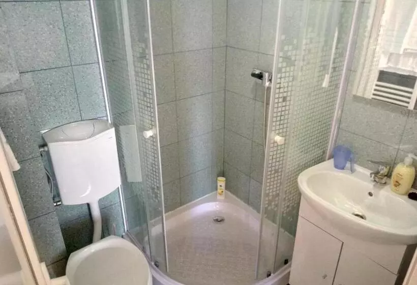 پانسیون Camere De Inchiriat Carpati