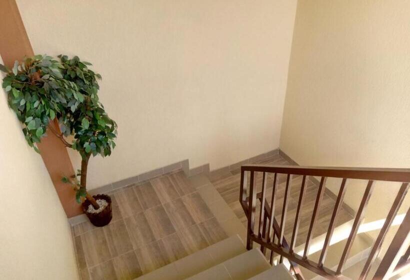 פנסיון Camere De Inchiriat Carpati