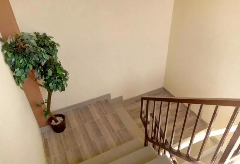 پانسیون Camere De Inchiriat Carpati