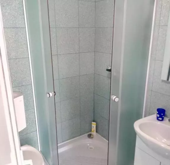 پانسیون Camere De Inchiriat Carpati