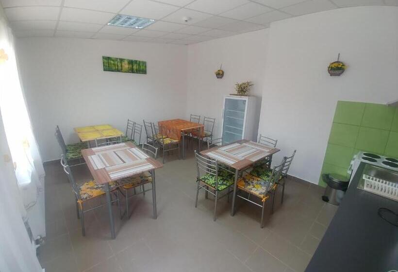 פנסיון Camere De Inchiriat Carpati