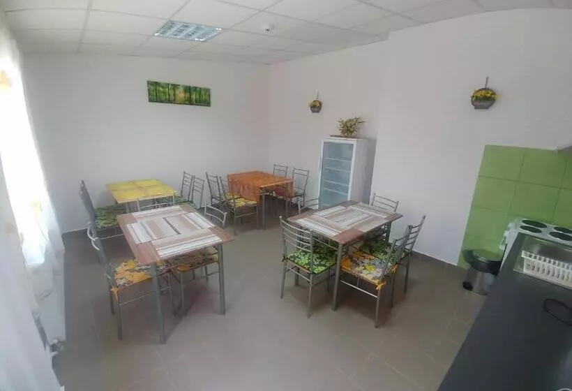 پانسیون Camere De Inchiriat Carpati