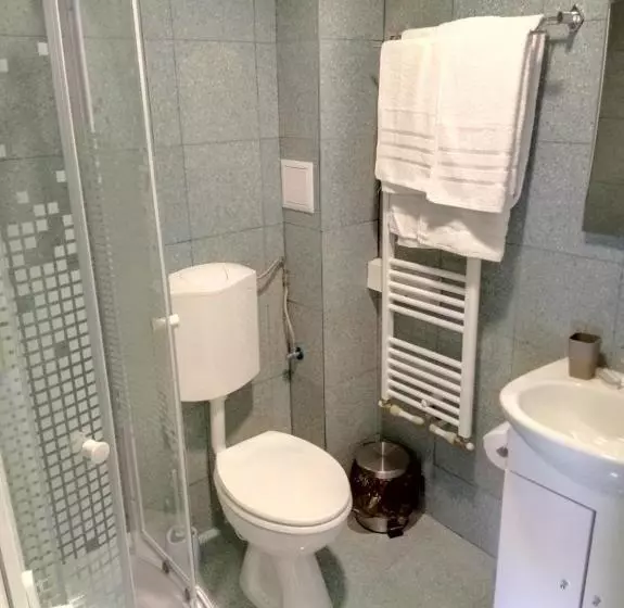 پانسیون Camere De Inchiriat Carpati