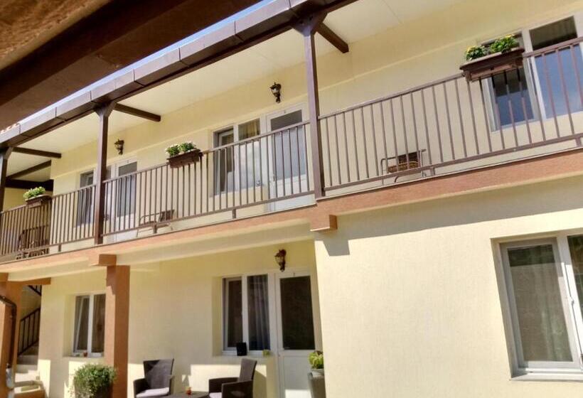 פנסיון Camere De Inchiriat Carpati