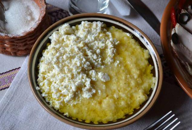 膳宿费 Kitica House