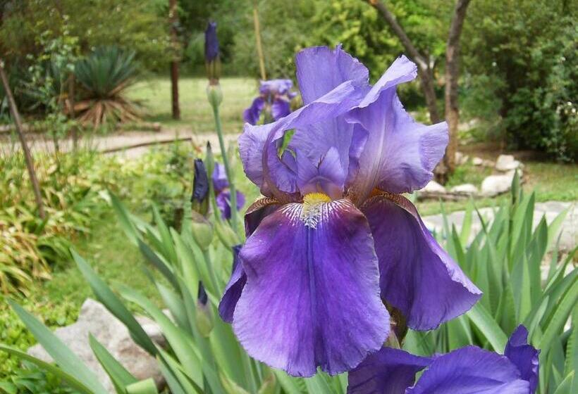 旅馆 Hostería Rural Monte Bérico