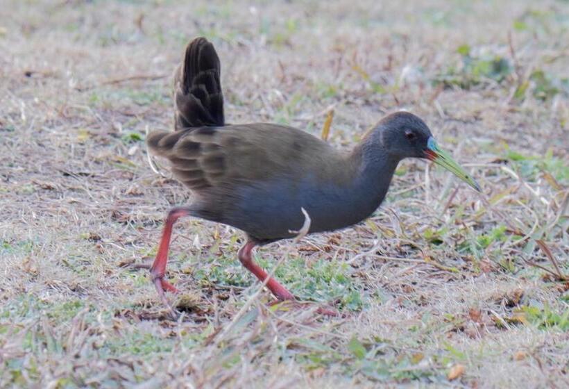 旅馆 Hostería Rural Monte Bérico