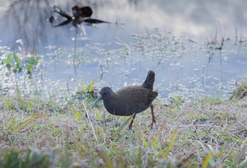 旅馆 Hostería Rural Monte Bérico