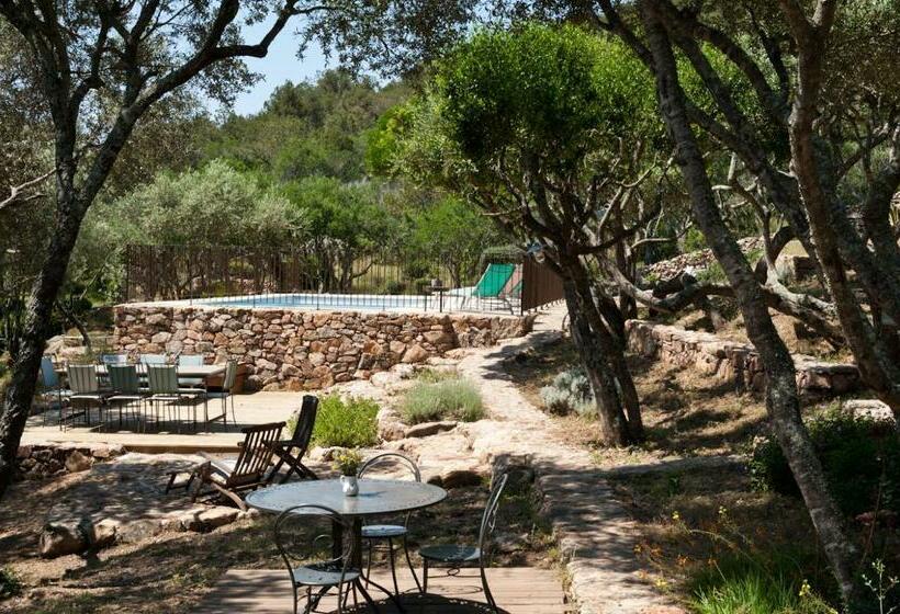 تختخواب و صبحانه Maison Tavolara