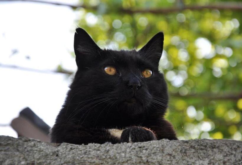 ホテル Agriturismo B&b Luna Di Quarazzana In Fivizzano Tuscany