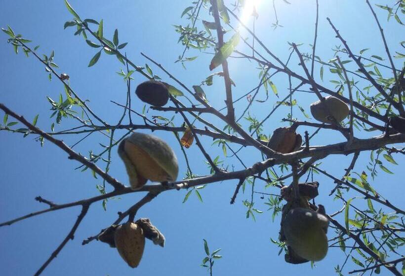 Отель Agriturismo San Matteo