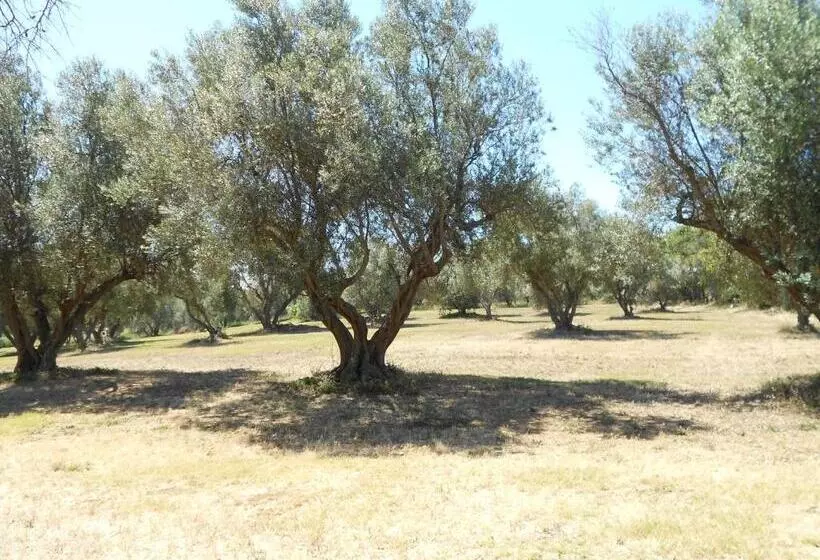 ホテル Agriturismo San Matteo