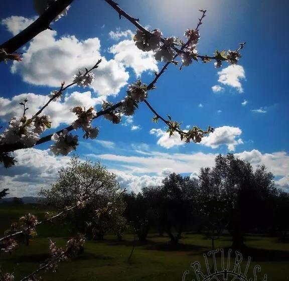 ホテル Agriturismo San Matteo