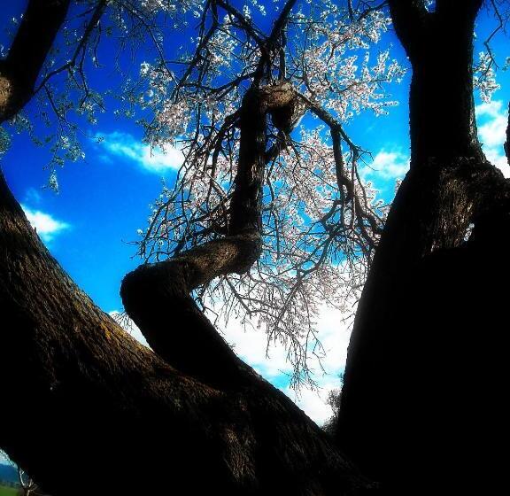 酒店 Agriturismo San Matteo