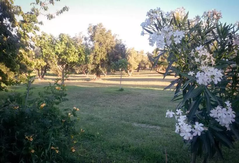 ホテル Agriturismo San Matteo