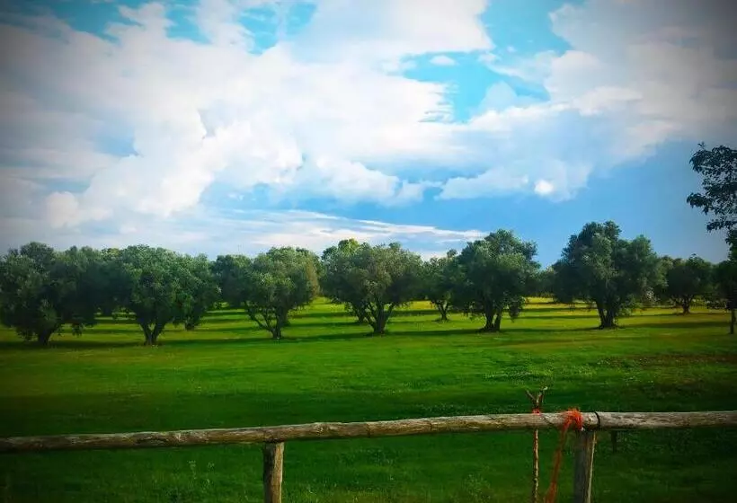 ホテル Agriturismo San Matteo