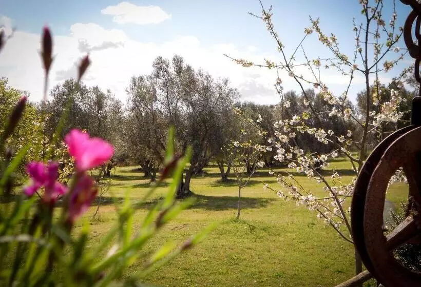 ホテル Agriturismo San Matteo