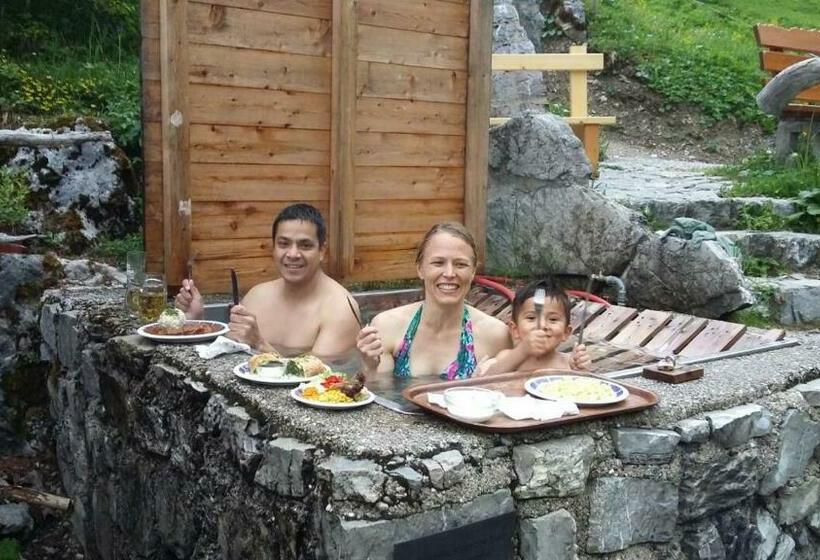 Отель Binsalm  Schutzhütte