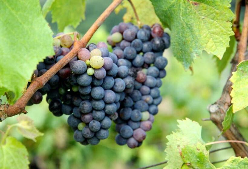 호텔 Borgo Degli Orti