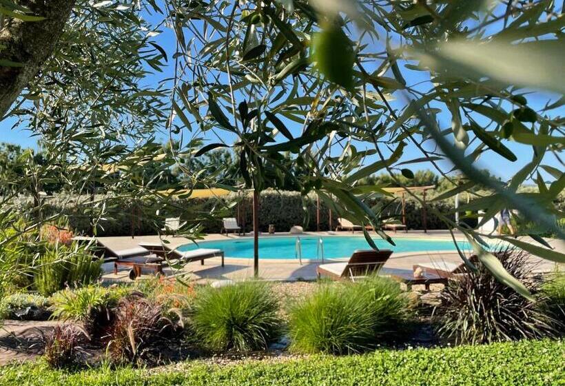 בית מלון כפרי Is Cheas Wine Farm Boutique