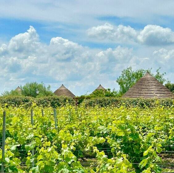 בית מלון כפרי Is Cheas Wine Farm Boutique