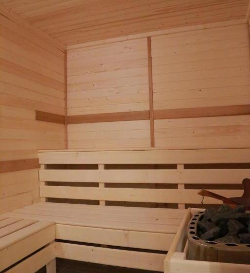 هتل Muresul Health Spa