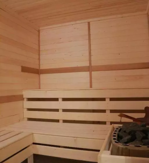 ホテル Muresul Health Spa