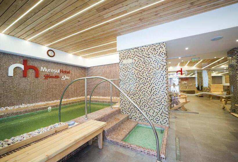 هتل Muresul Health Spa