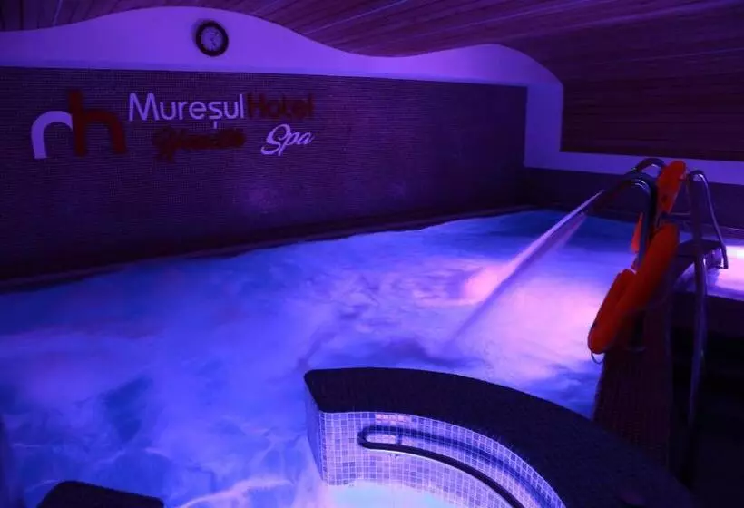 ホテル Muresul Health Spa