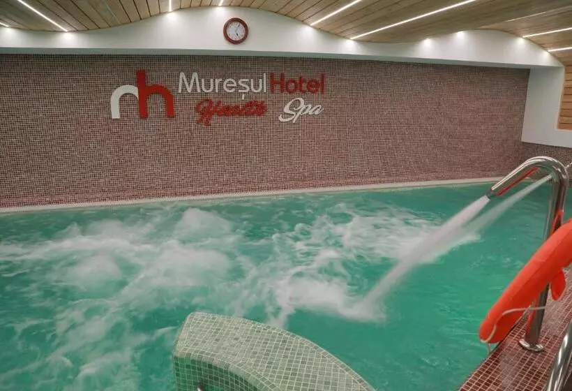 ホテル Muresul Health Spa