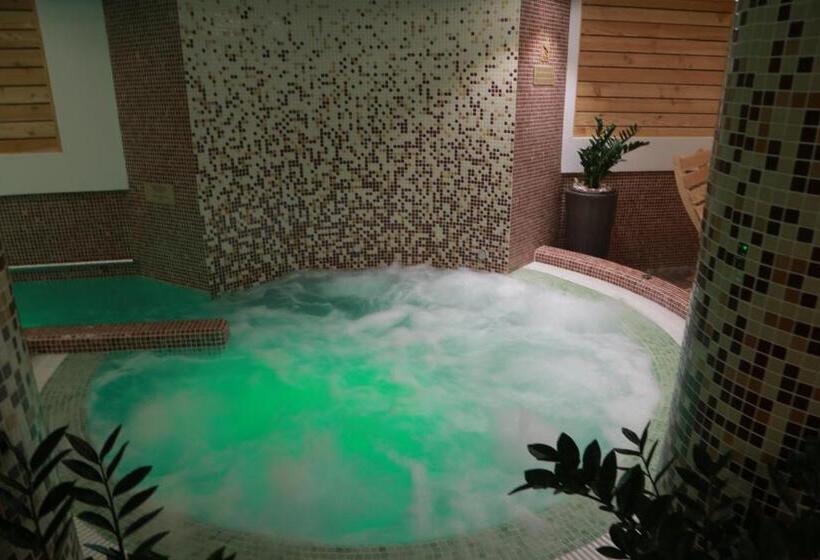 هتل Muresul Health Spa