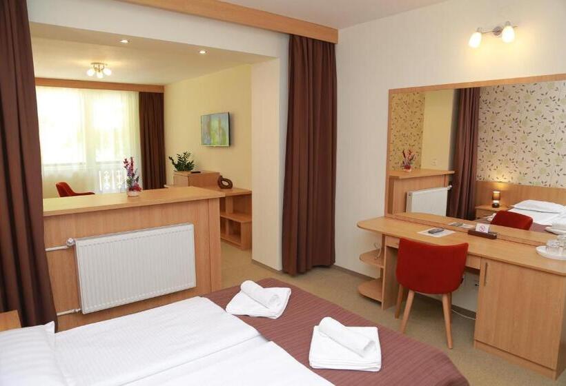 هتل Muresul Health Spa