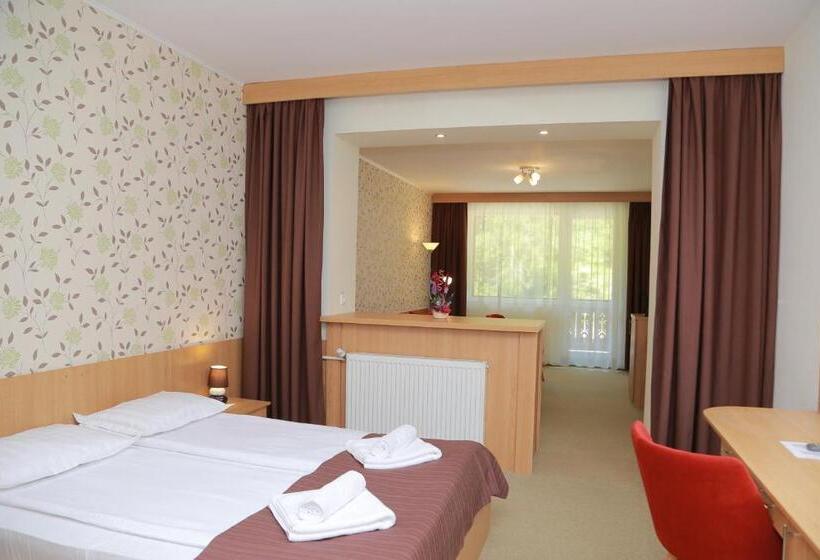 هتل Muresul Health Spa