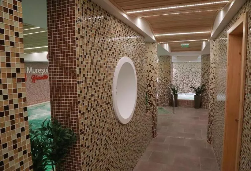 ホテル Muresul Health Spa