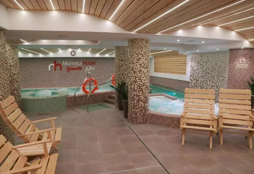 ホテル Muresul Health Spa