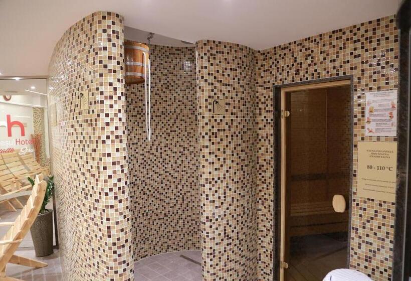 هتل Muresul Health Spa