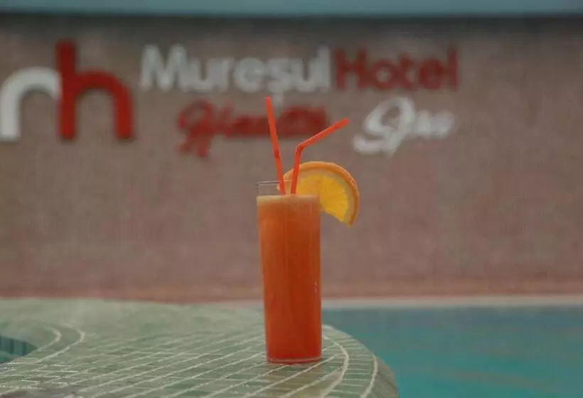 ホテル Muresul Health Spa