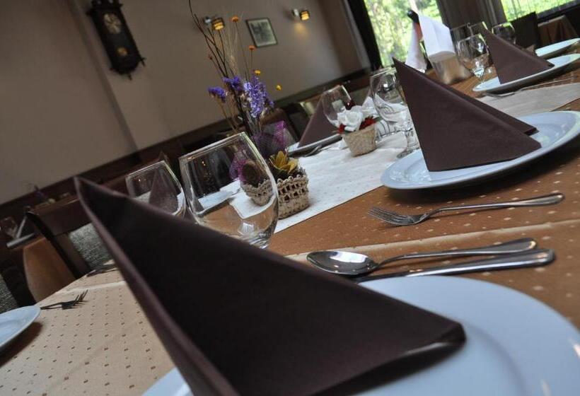 هتل Muresul Health Spa