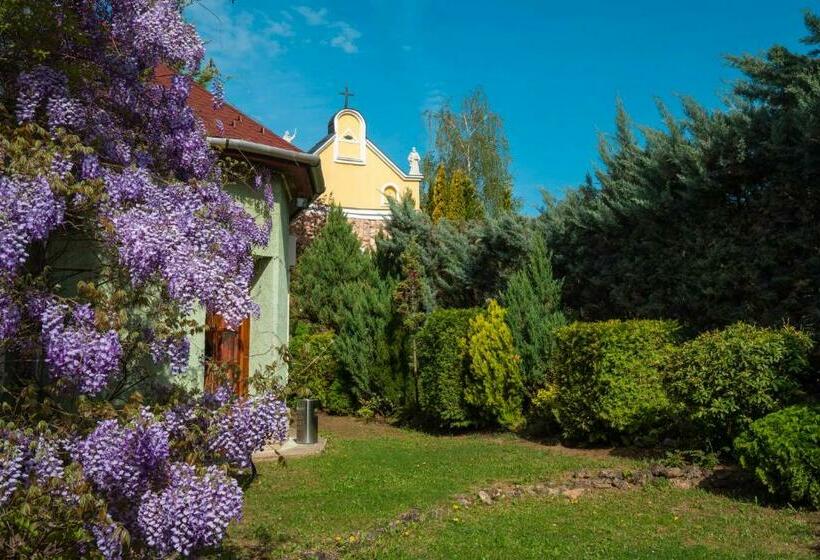 Отель Szent István