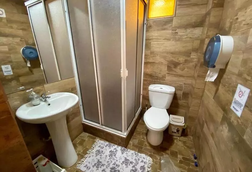 پانسیون Hostal Mirenart