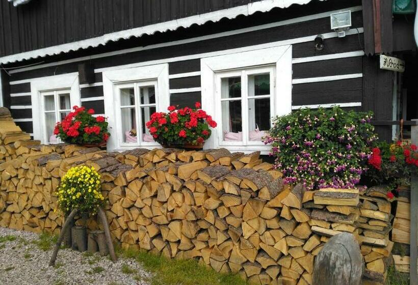 膳宿费 Penzion U Piráta