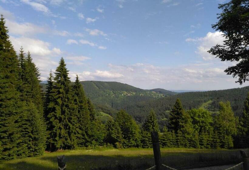 膳宿费 Penzion U Piráta