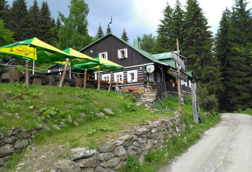 膳宿费 Penzion U Piráta